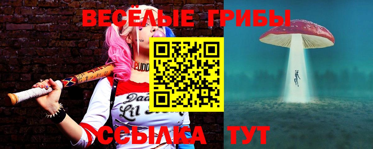 Йошкар-Ола  Псилоцибиновые грибы мицелий  дарнет шоп  Вход с VPN  Псилоцибиновые грибы MAGIC MUSHROOMS 