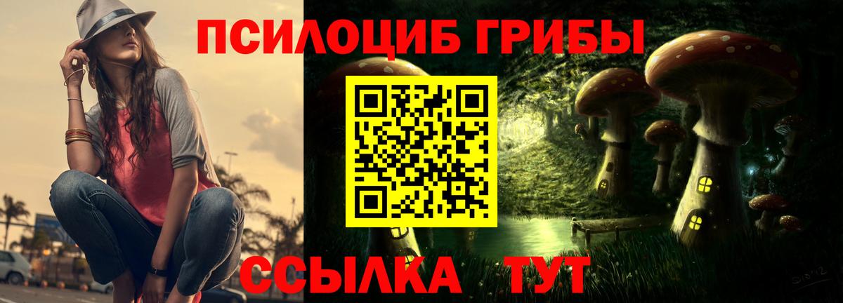 Псилоцибиновые грибы MAGIC MUSHROOMS Йошкар-Ола