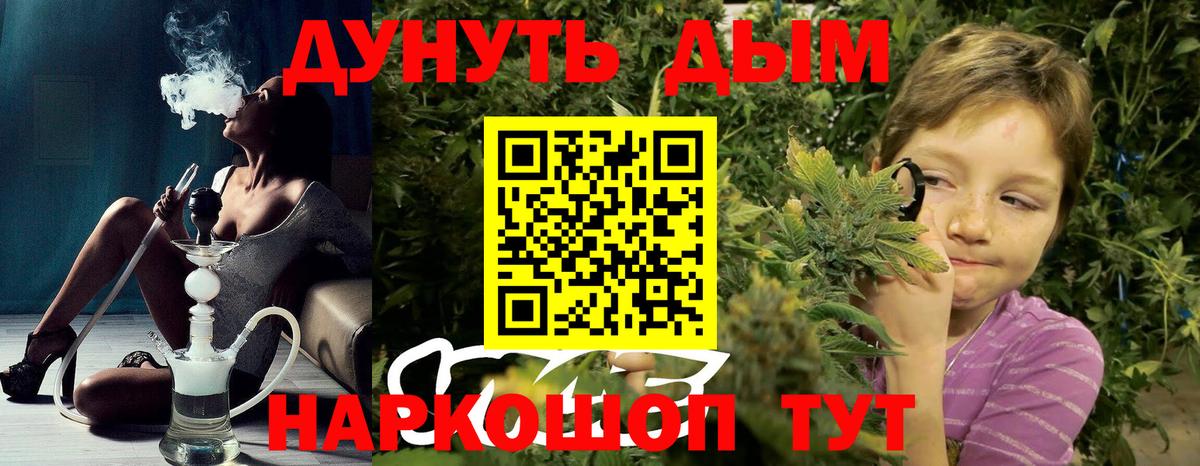 Канабис план  Шишки марихуана конопля  Йошкар-Ола  МАРИХУАНА White Widow  Вход с VPN  Шишки марихуана индика 